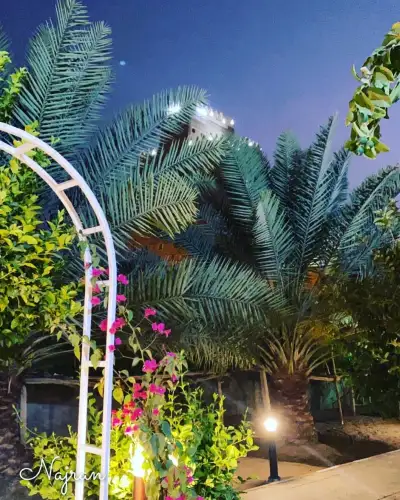 صورة ٤، منتجع المزرعة الخضراء