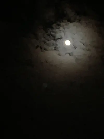 صورة ٣، مخيم آل عبد الخير