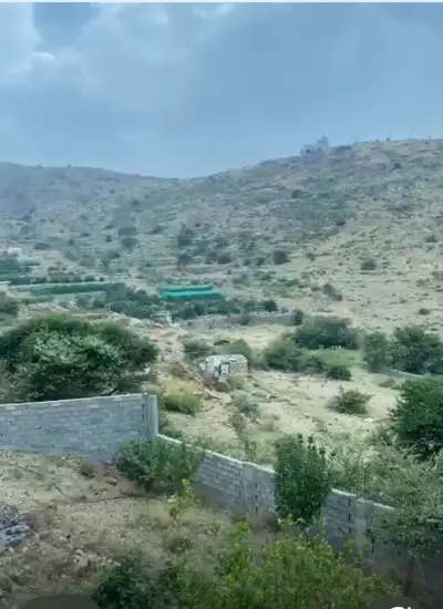 استراحة ابوعبدالمجيد الباحة
