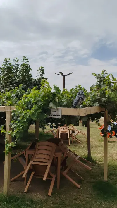 صورة ٤، مزرعة بساتين اللوز