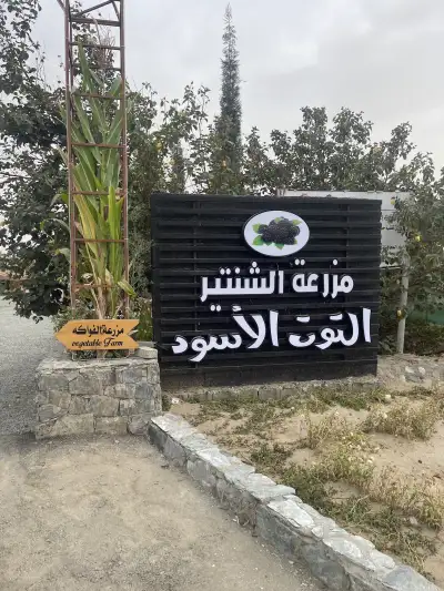 صورة ٣، مزرعة الشنتير السياحية