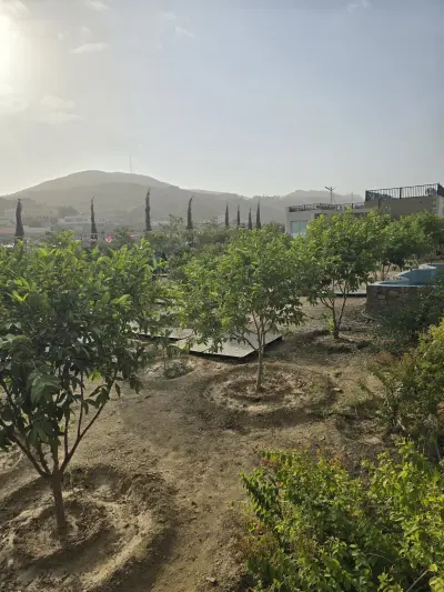 صورة ٤، مزرعة الشنتير السياحية