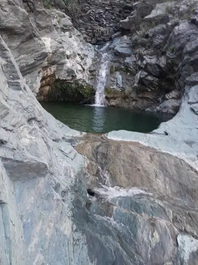 صورة ٢، مزرعة ميامين