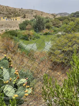 صورة ٢، مزرعة الخازم - الطلقية