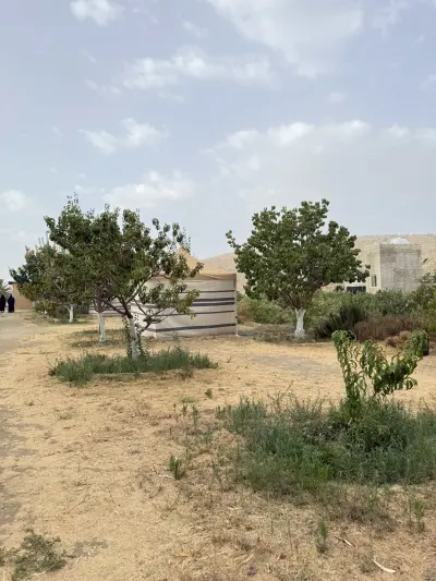 صورة ٣، مزرعة الخازم - الطلقية