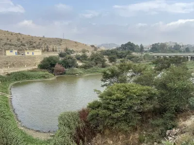 مزرعة الخازم - الطلقية