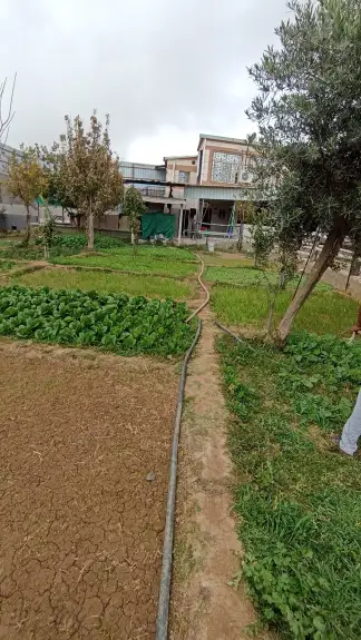 صورة ٤، إستراحة السمو