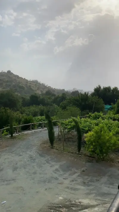 صورة ٣، مزرعة ومتحف آل دغسان - الطلقية