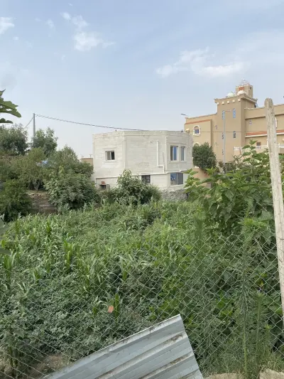 صورة ٤، شاليه سويت غصن التوت