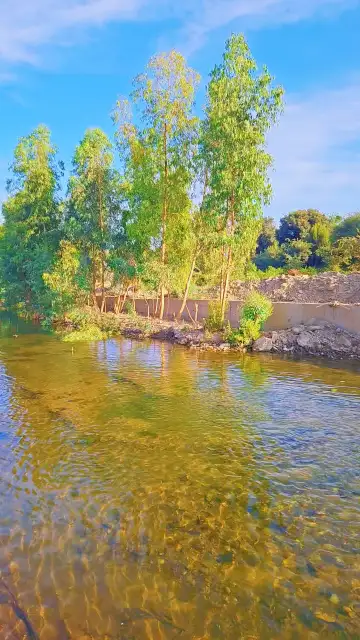 صورة ٣، منتزه و مزرعة العمر الريفيه