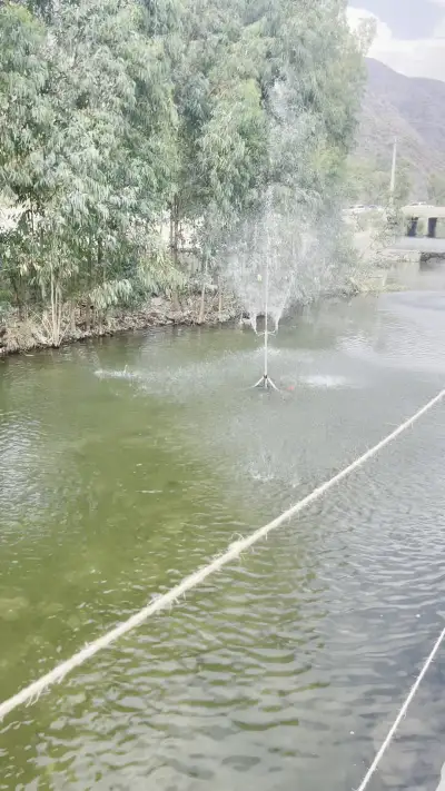 صورة ٤، منتزه و مزرعة العمر الريفيه