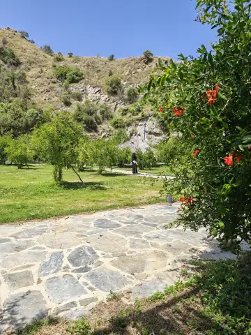 صورة ٢، منتزه و مزرعة العمر الريفيه