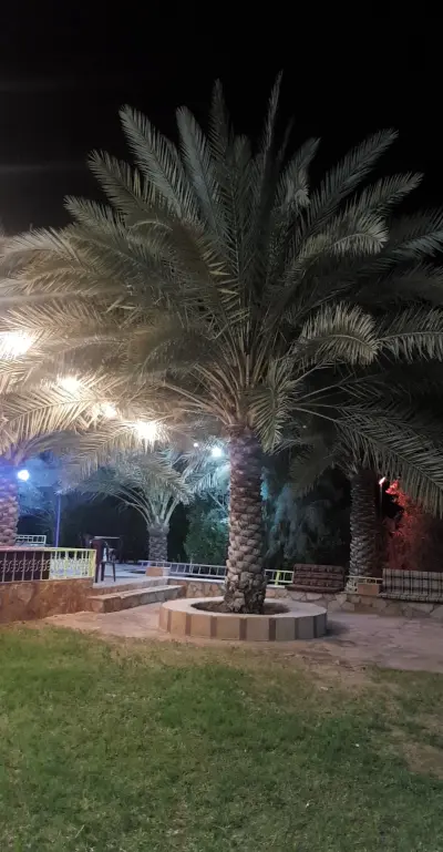 صورة ٢، استراحة النجمة