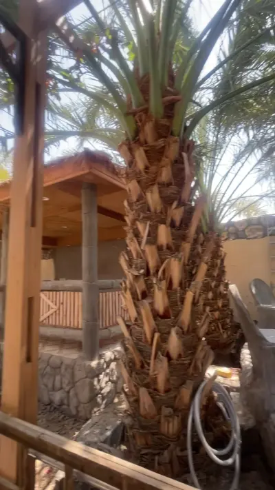 صورة ٤، استراحة العريش