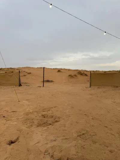 صورة ٤، مخيم الرمال الذهبية