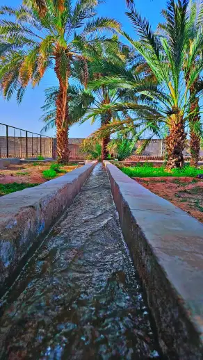 صورة ٣، استراحة منتزه ريف العالية أستراحات ومخيمات