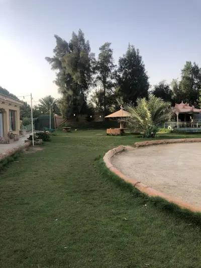 صورة ٢، مزرعة الأراك