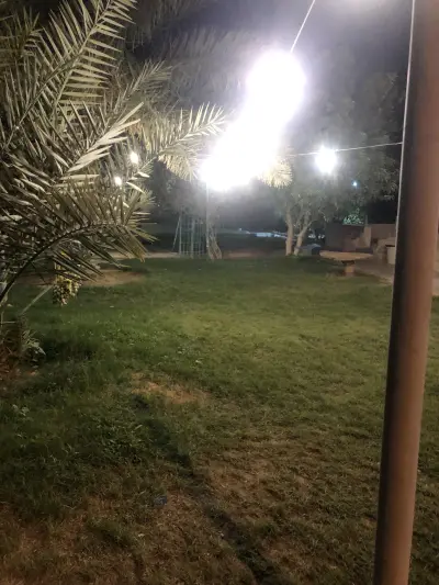 صورة ٣، مزرعة الأراك