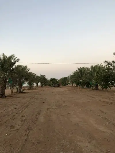 صورة ٢، مزرعة القهيدان