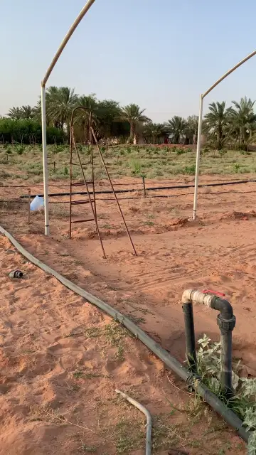 صورة ٣، مزرعة الناصر - شقراء