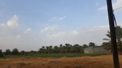 صورة ٥، مزرعة الجاسر