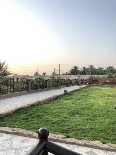 صورة ٢، العرفجية