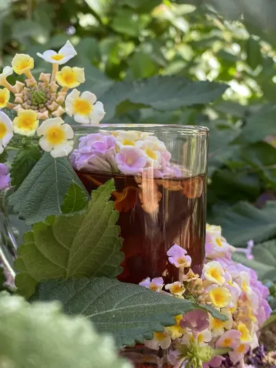 صورة ٣، العرفجية