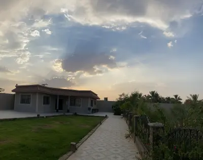 العرفجية