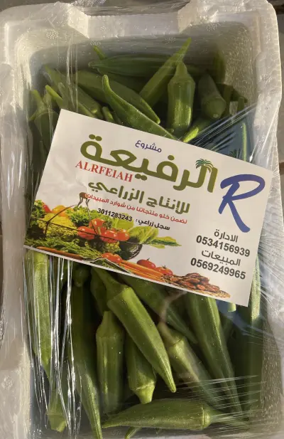 صورة ٣، مشروع الرفيعة للإنتاج الزراعي