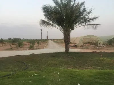 صورة ٤، مشروع الرفيعة للإنتاج الزراعي