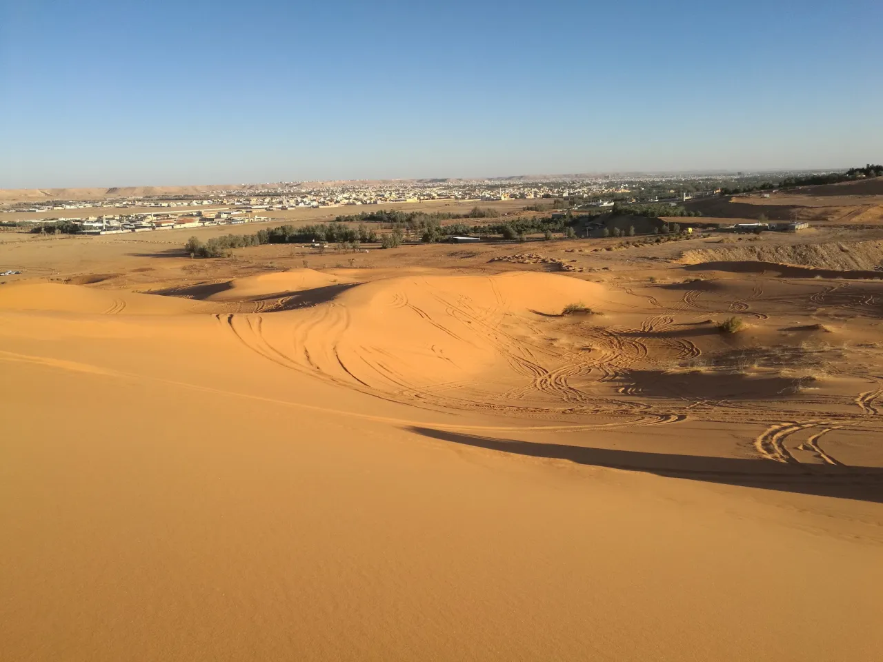 صورة ١، مزرعه البدر