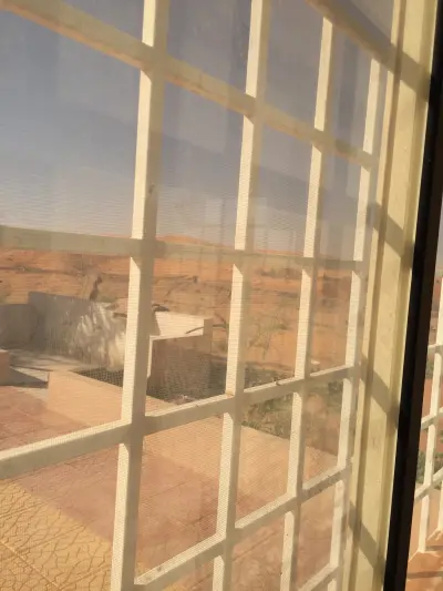 صورة ٢، مزرعه البدر