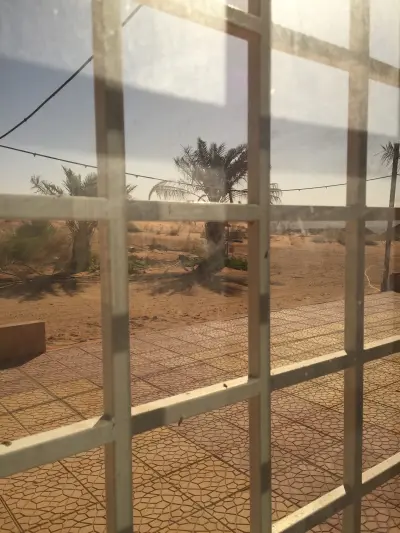 صورة ٦، مزرعه البدر