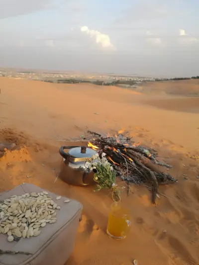 صورة ٤، مزرعه البدر