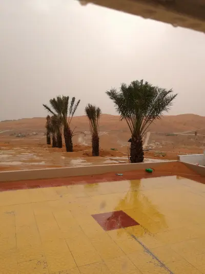 صورة ٣، مزرعه البدر