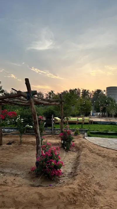 صورة ٤، مزرعة السلطانية