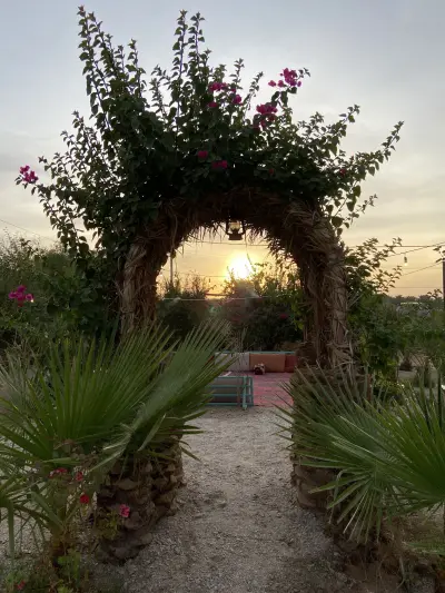 صورة ٣، مزرعة الدهيمان