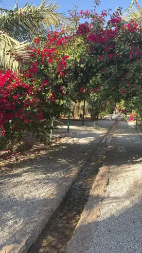صورة ٢، مزرعة ومنتجع ابوسيف بالمطية