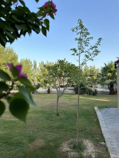 صورة ٢، استراحة ارياف
