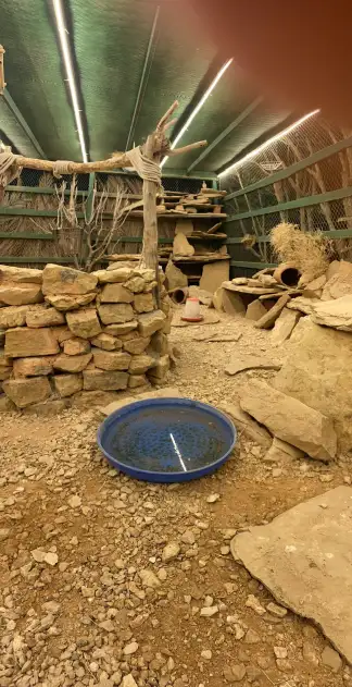 صورة ٢، استراحة الحد الجنوبي