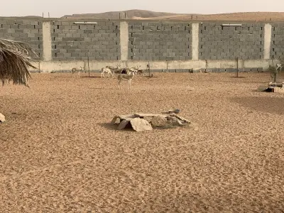 صورة ٣، استراحة الحد الجنوبي