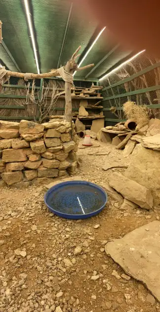 صورة ٤، استراحة الحد الجنوبي