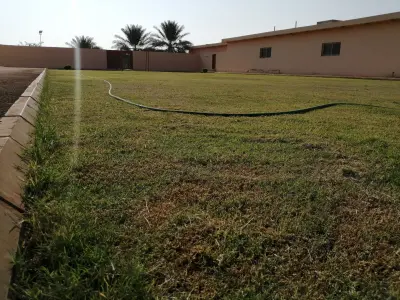 صورة ٤، استراحة منتجع البحيرات