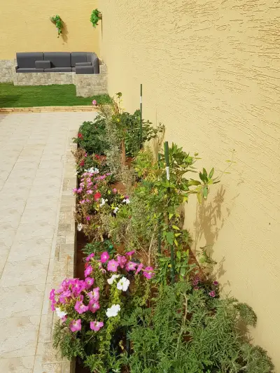 صورة ٤، استراحة السلطان