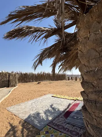 صورة ٤، مخيم عسيب