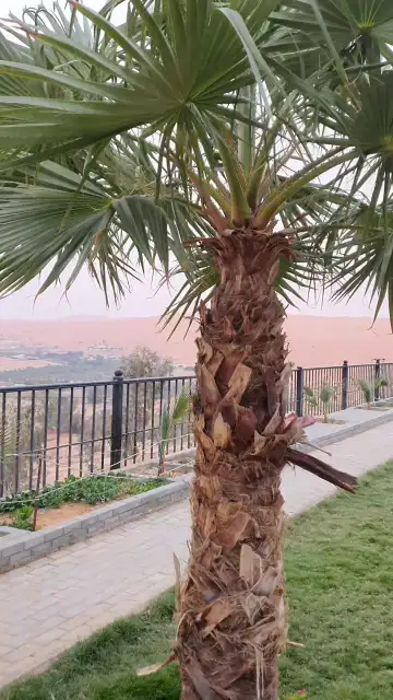 صورة ٣، شاليه المطل