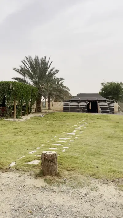 صورة ٥، مزرعة التين الريفية