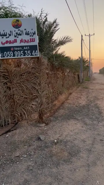 صورة ٢، مزرعة التين الريفية