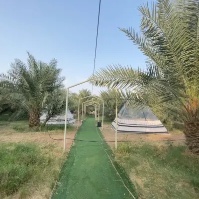 Wathana Farm-مزرعة وثانه