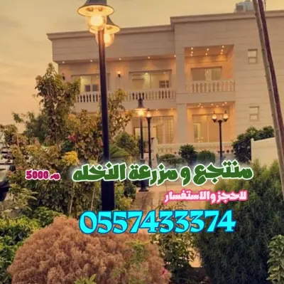 صورة ٢، منتجع ومزرعة النخله الدلم